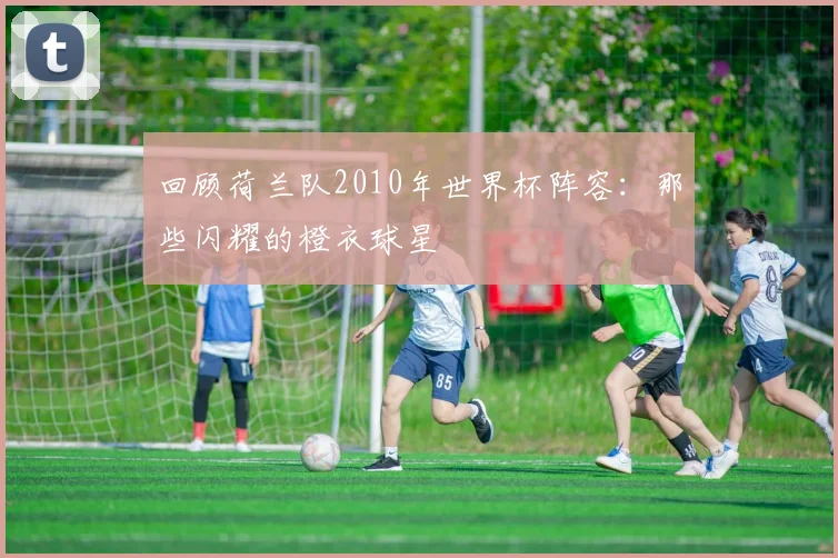 回顾荷兰队2010年世界杯阵容：那些闪耀的橙衣球星